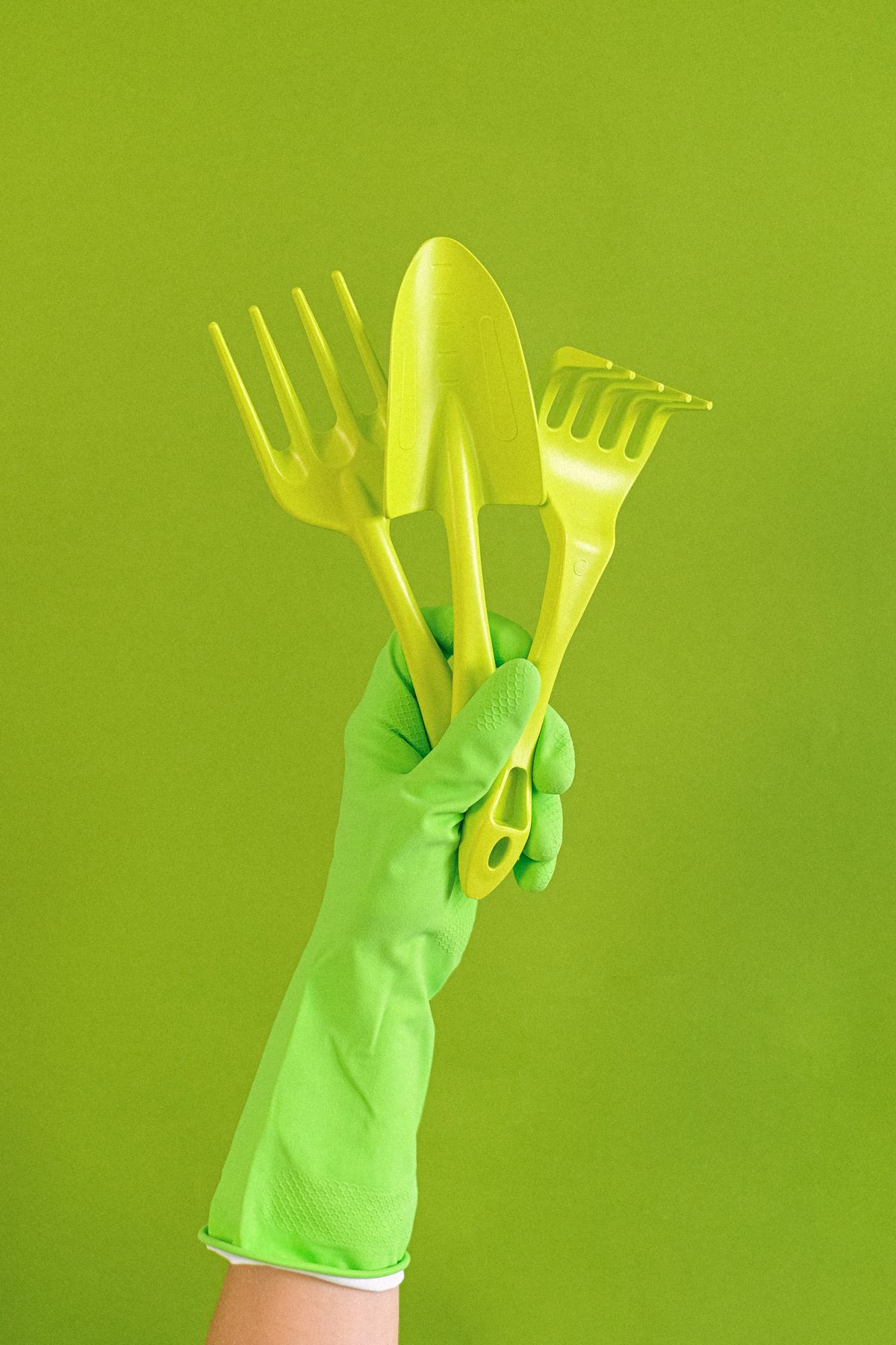 Set of hand gardening tools including a trowel and hand rake on a green background