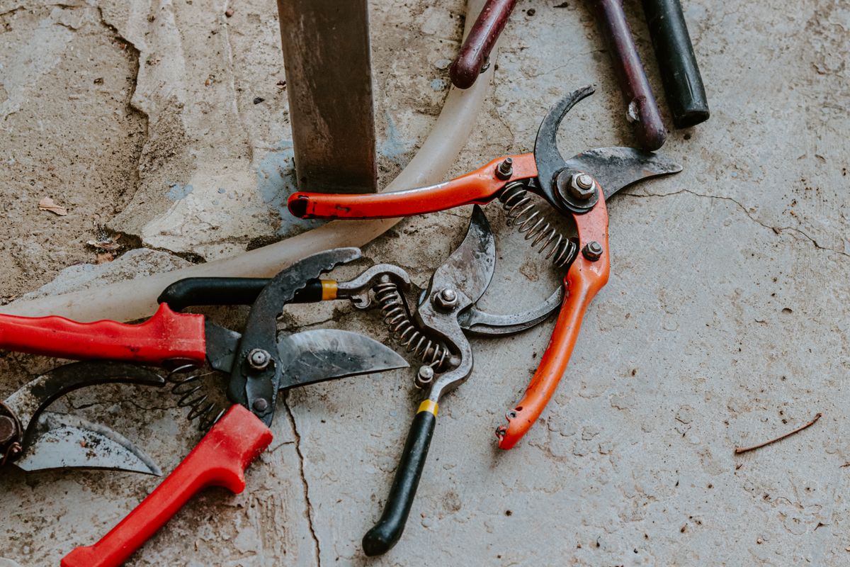 A selection of colourful garden tools arranged on a surface